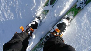 Skischuh  Test und Vergleich 2021