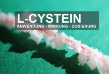 Was bewirkt L-Cystein und wo ist es enthalten?