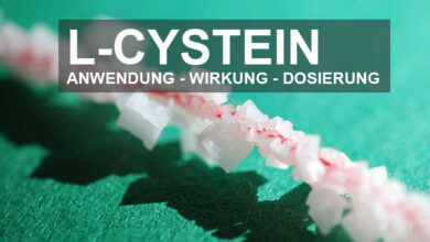 Was bewirkt L-Cystein und wo ist es enthalten?