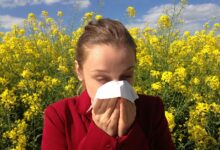 Wie äußert sich eine Allergie gegen Pollen?