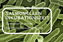 Wie schnell merkt man eine Salmonellenvergiftung?