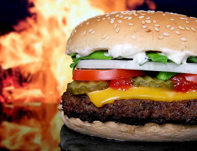 Definiton Fette - FastFood verleitet uns zu übermäßigem Fett-Konsum