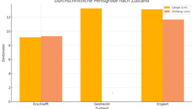 Was ist die durchschnittliche Penisgröße?