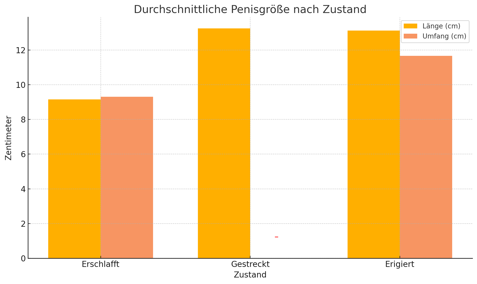 Was ist die durchschnittliche Penisgröße?