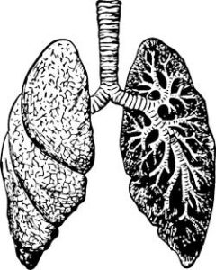 Die Feinstaub Folgen für die Lunge wurde jahrelang unterschätzt.