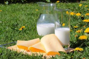 Milch und Milchprodukte sorgen für einen ausgewogenen Kalziumhaushalt.