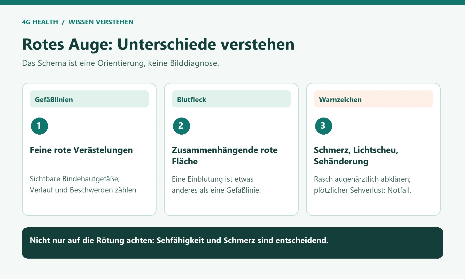 Rotes Auge: Unterschiede verstehen: Das Schema ist eine Orientierung, keine Bilddiagnose.